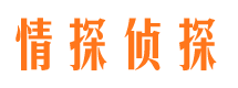 宜秀市私家侦探